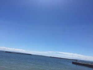 IMG_8159