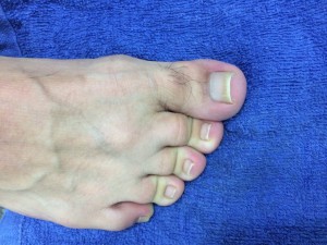 IMG_4534
