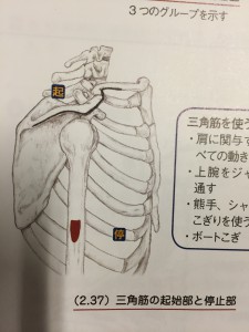 image2 (1)