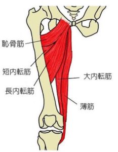 「美尻・美脚」