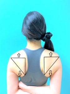 肩こりと四十肩のための肩甲骨の動かし方エクササイズ Navis